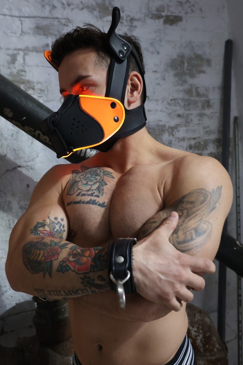 Breedwell Poundtown Pup Mask 2.0 Neon Orange