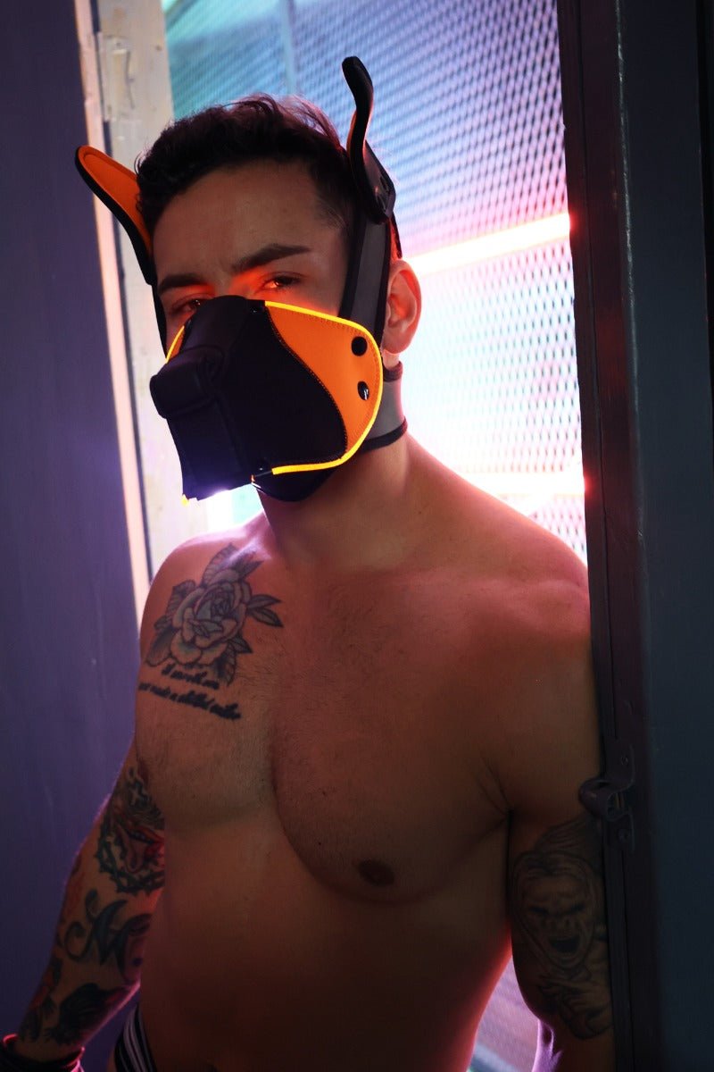 Breedwell Poundtown Pup Mask 2.0 Neon Orange