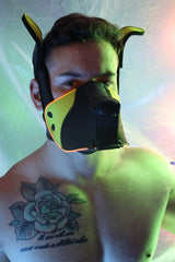 Breedwell Poundtown Pup Mask 2.0 Yellow