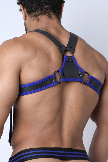 Cellblock 13 Buckle Up Harness Blue