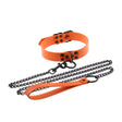 BASIXXX Show Collar and Leash Orange