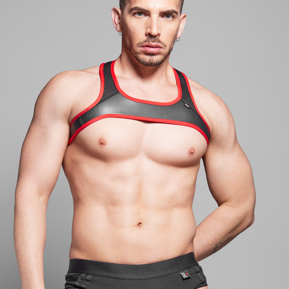 Dale Mas Smooth Skin Neoprene Harness Black Red