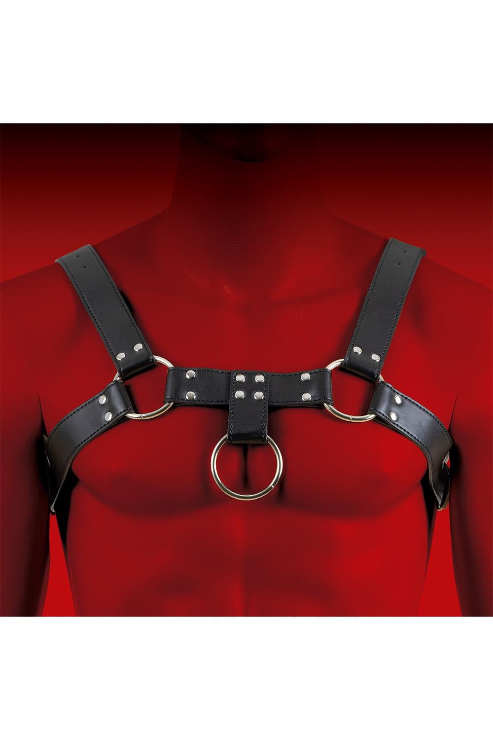 HIT Control H Harness Black - FETCH