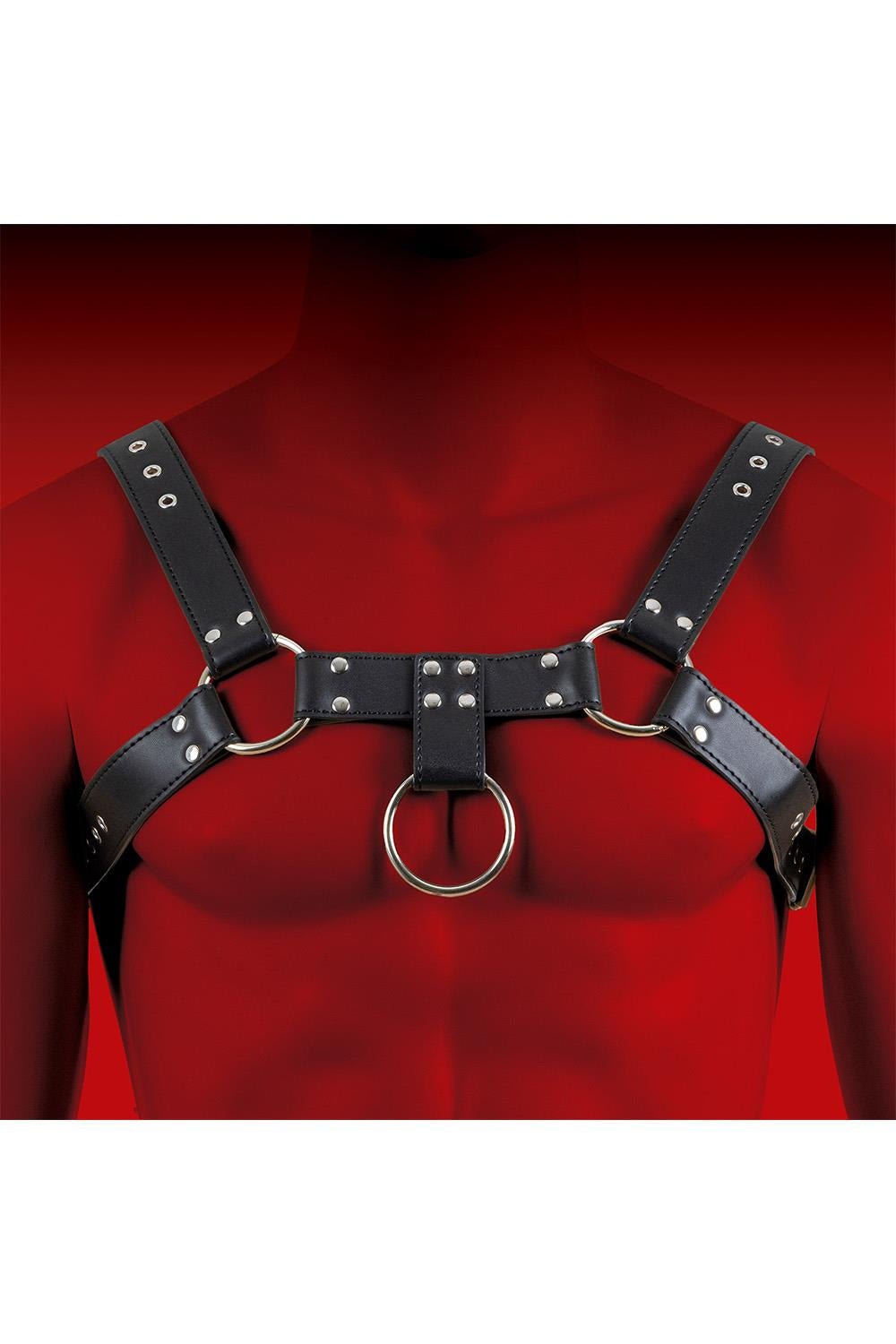 HIT H Harness Black - FETCH