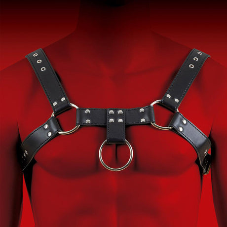 HIT H Harness Black