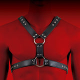 HIT Halter Harness Black