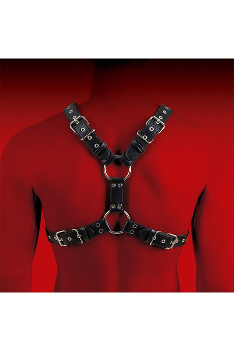 HIT Halter Harness Black - FETCH