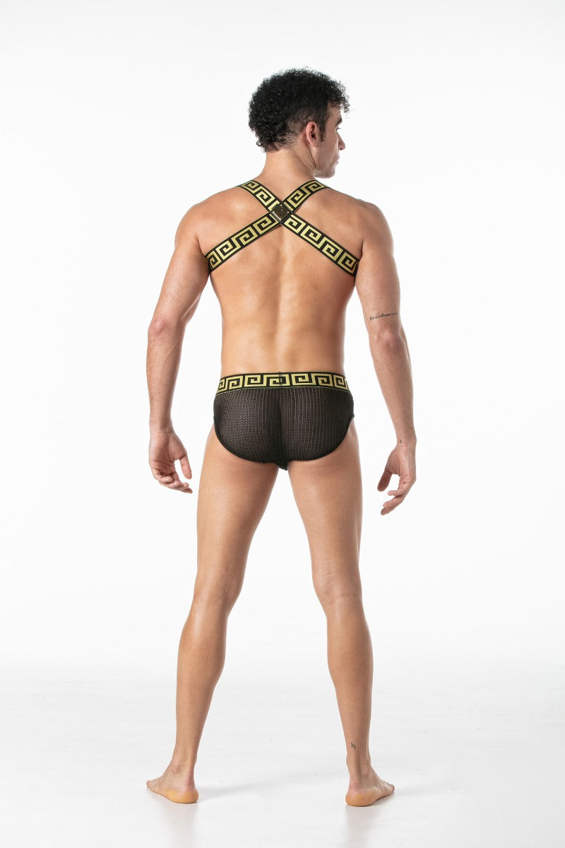 Leader Invictus Harness Black Gold