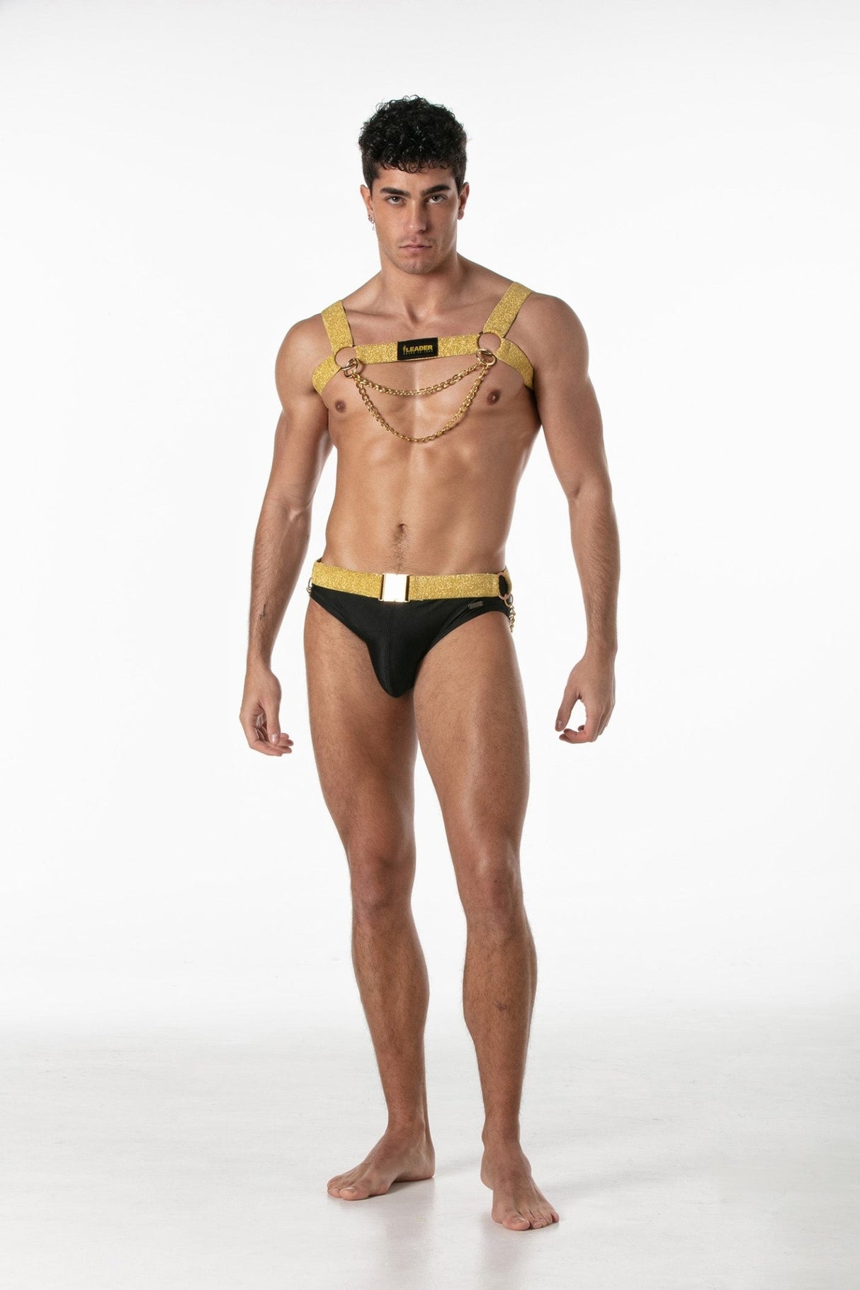 Leader Party Harness Black Gold - FETCH