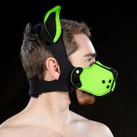 Mr S Leather Neoprene K9 Ears Lime