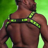 Mr S Leather Neo Bold Colour Bulldog Harness Lime