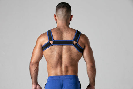 Locker Gear Mesh Harness Blue