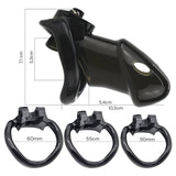 LOCK4D Rikers Chastity Cock Cage Black