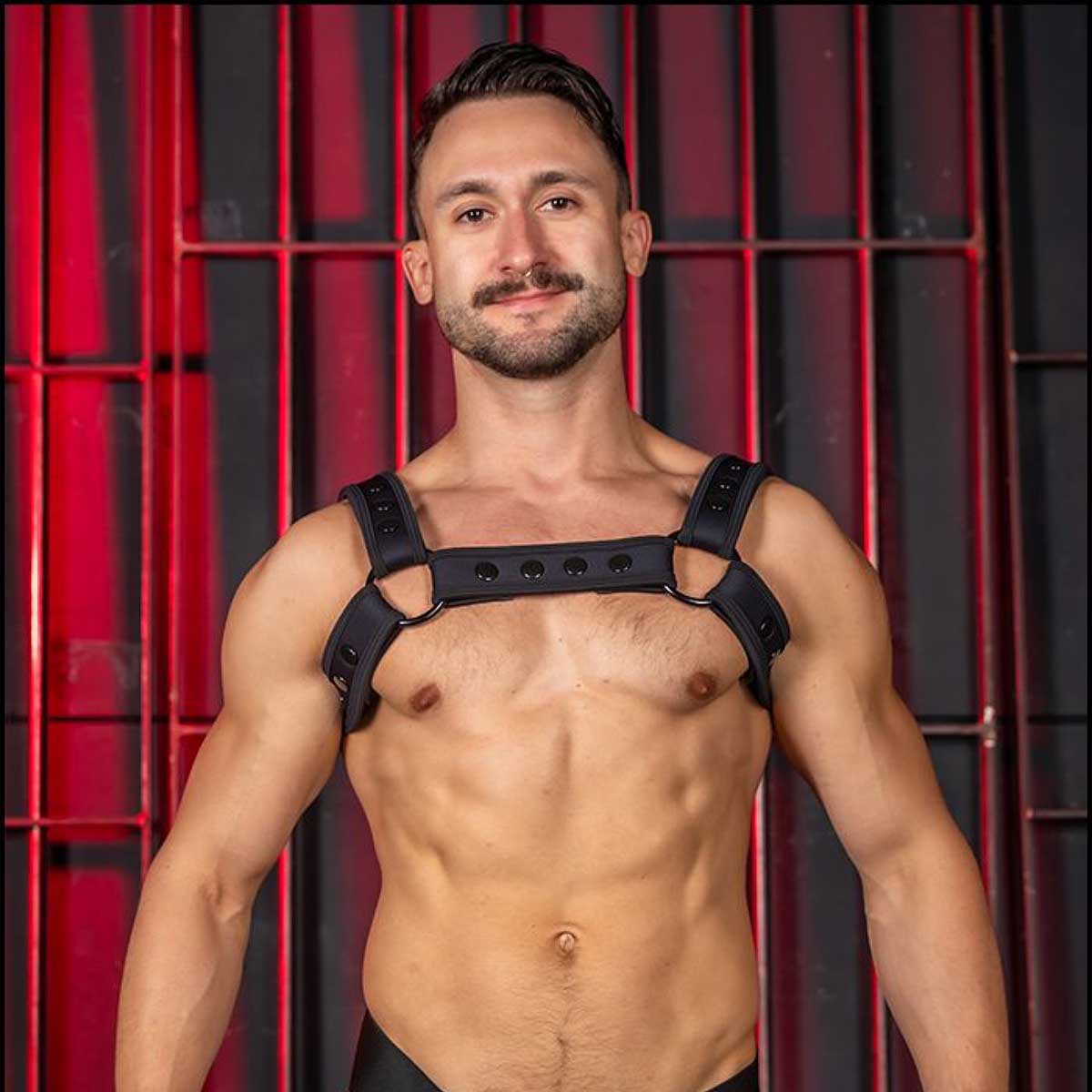 Mr S Leather Neo Carbon Bulldog Harness Black
