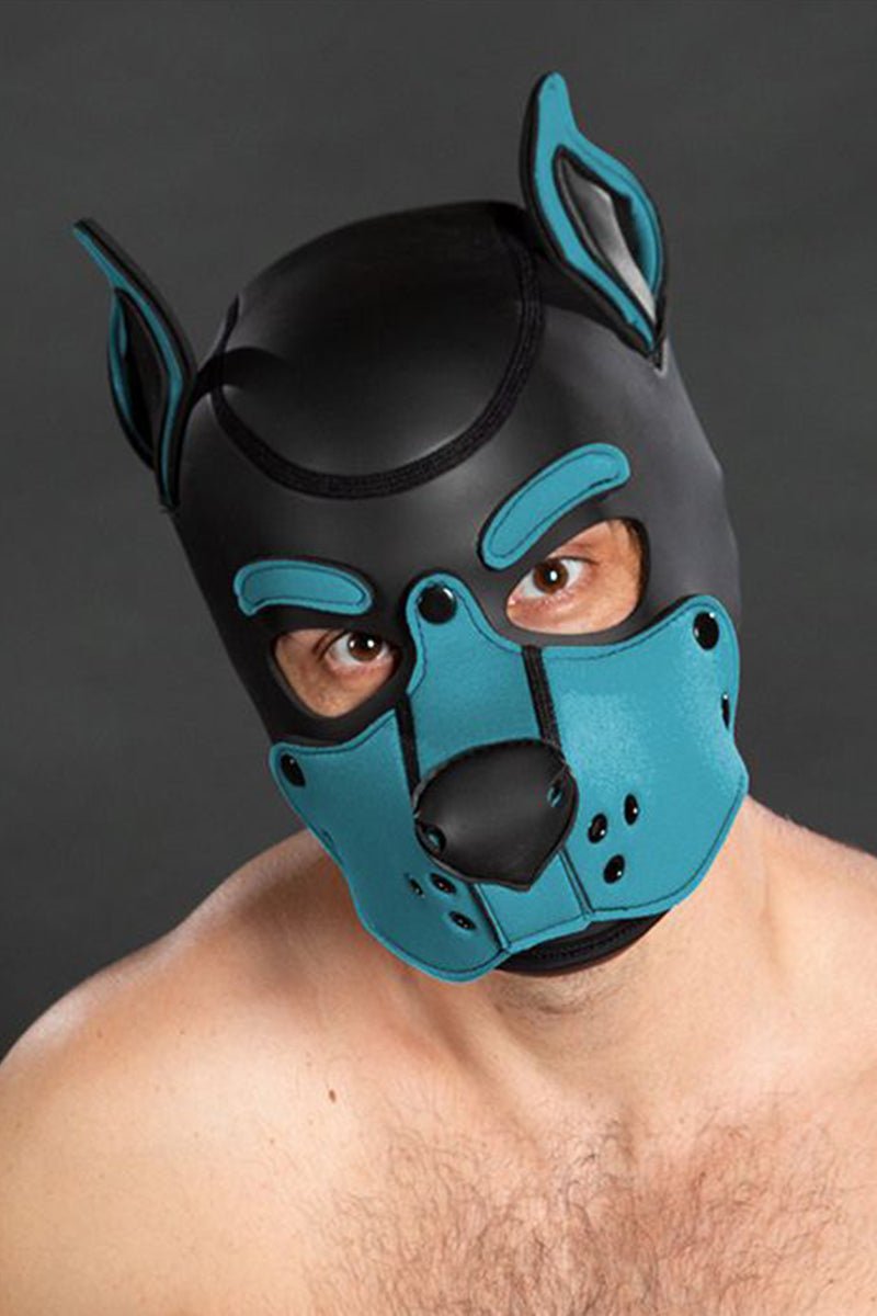 Mr S Leather Neoprene K9 Puppy Hood Black Aqua