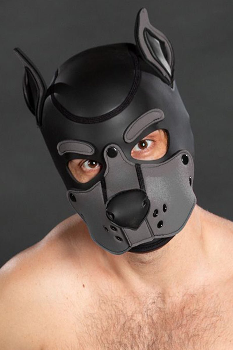 Mr S Leather Neoprene K9 Puppy Hood Black Grey