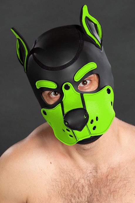 Mr S Leather Neoprene K9 Puppy Hood Black Lime