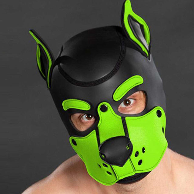 Mr S Leather Neoprene K9 Puppy Hood Black Lime
