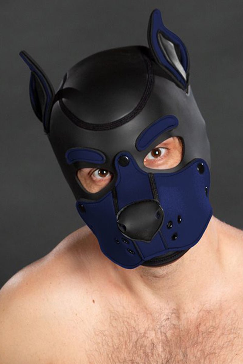 Mr S Leather Neoprene K9 Puppy Hood Black Navy