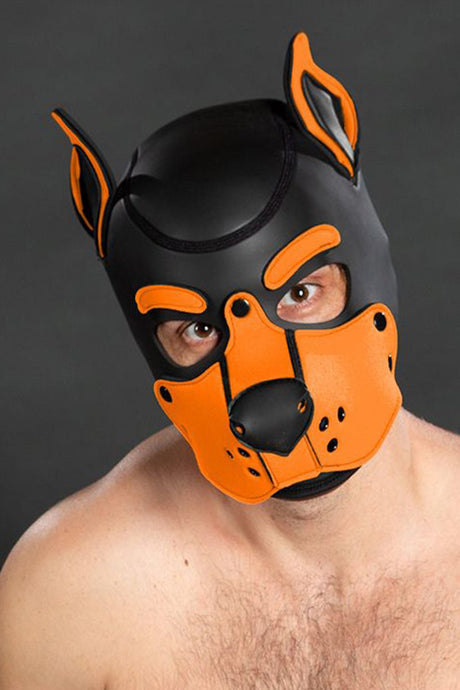 Mr S Leather Neoprene K9 Puppy Hood Black Orange