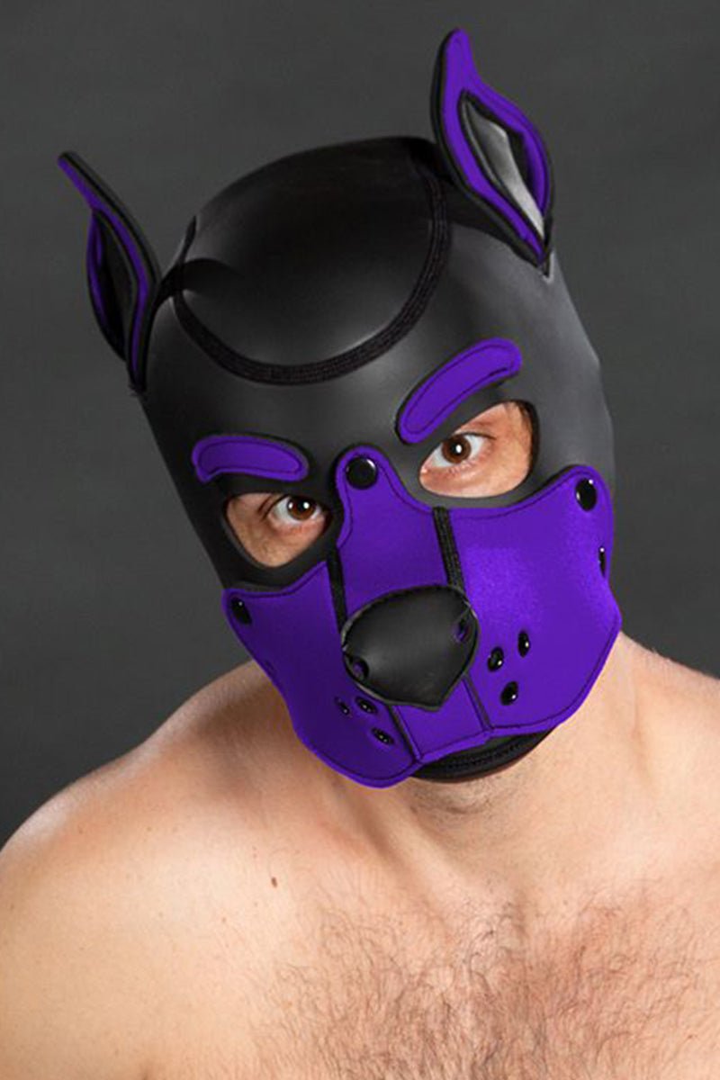 Mr S Leather Neoprene K9 Puppy Hood Black Purple