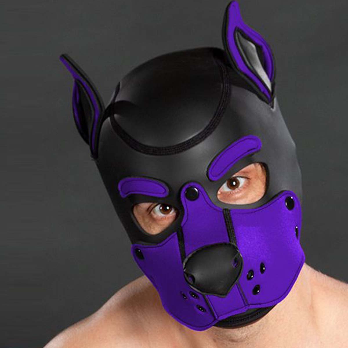 Mr S Leather Neoprene K9 Puppy Hood Black Purple
