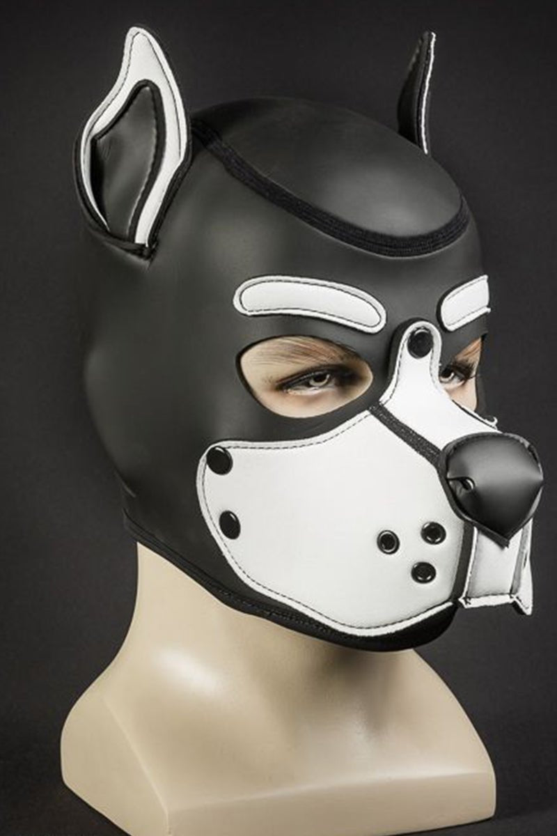 Mr S Leather Neoprene K9 Puppy Hood Black White