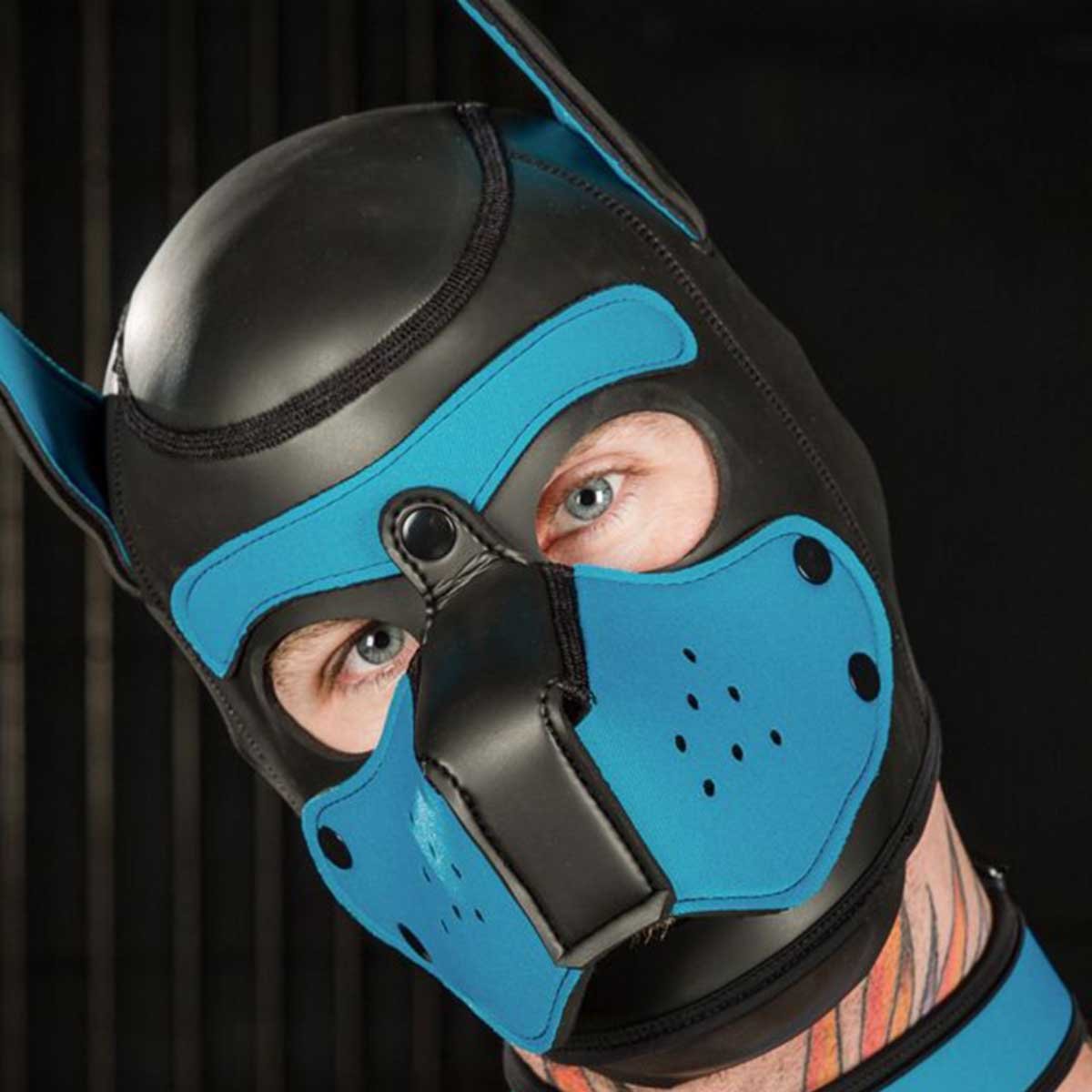 Mr S Leather Neoprene Puppy Collar Aqua Black
