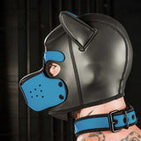 Mr S Leather Neoprene Puppy Collar Aqua Black
