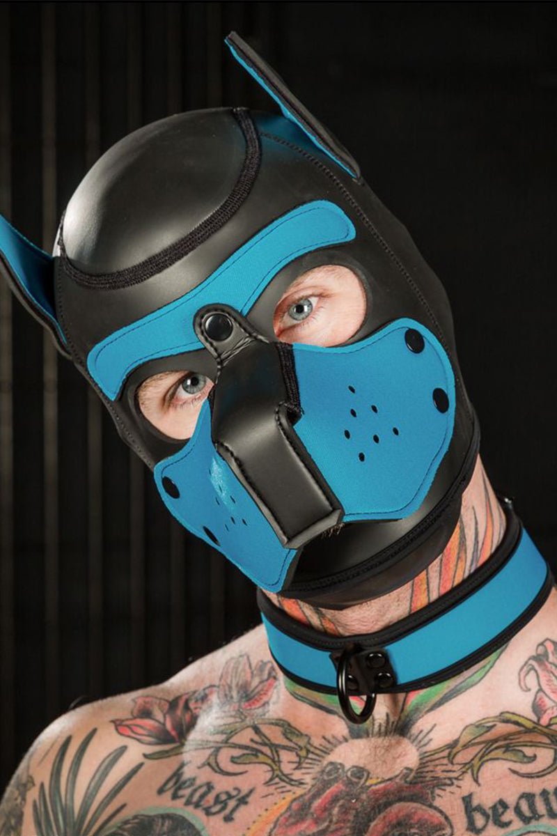 Mr S Leather Neoprene Puppy Collar Aqua Black