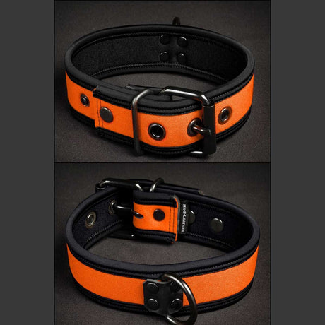 Mr S Leather Neoprene Puppy Collar Orange Black
