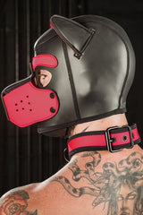 Mr S Leather Neoprene Puppy Collar Pink Black