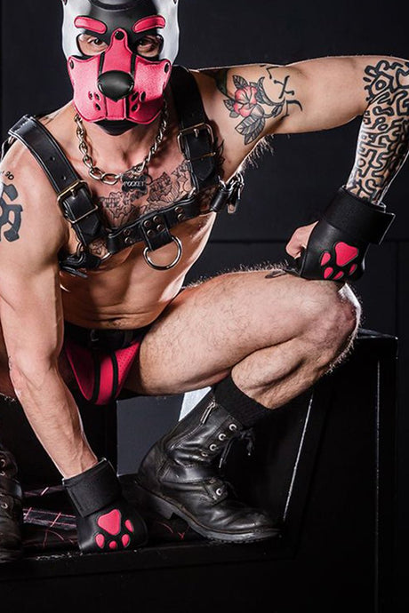 Mr S Leather Open Paw Puppy Gloves Black Pink