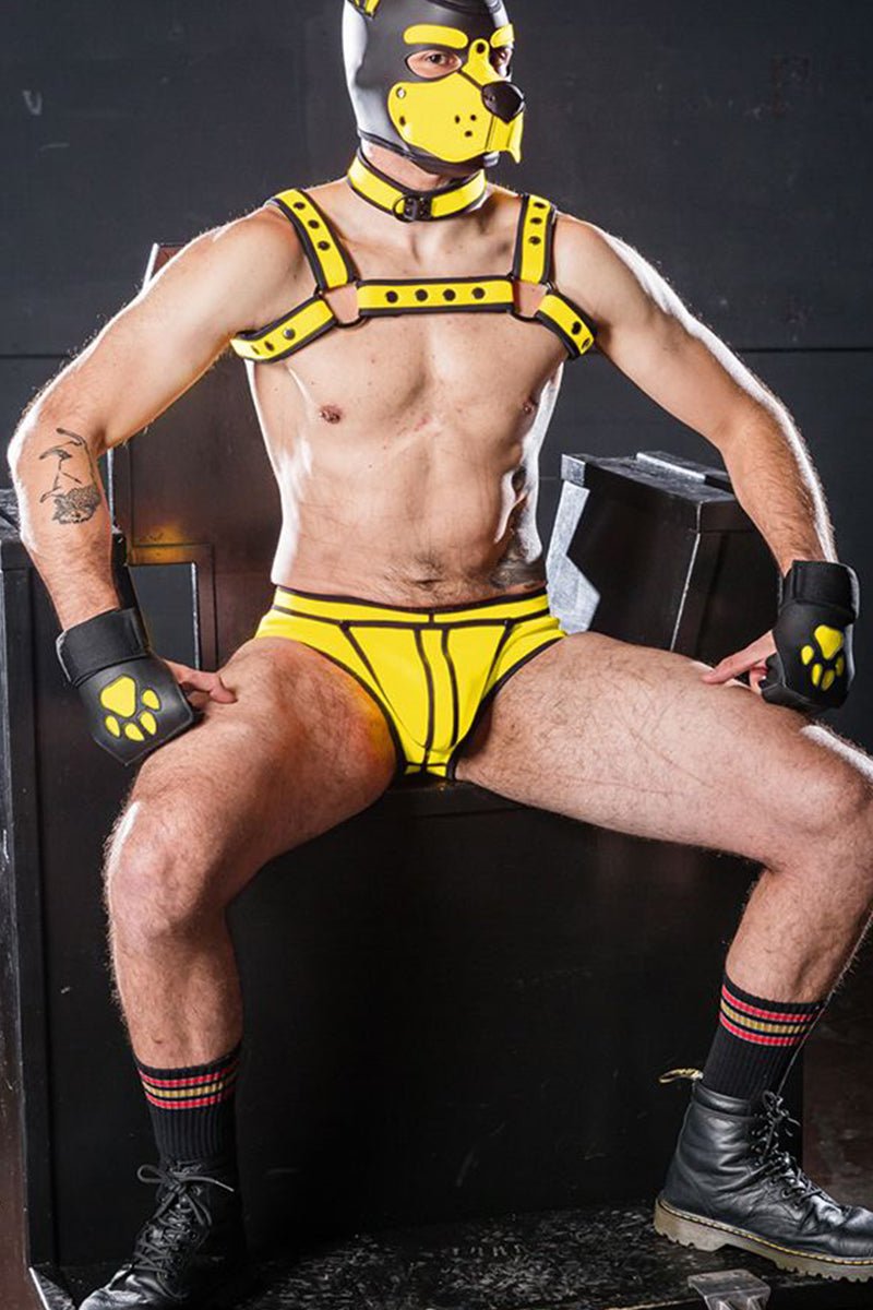 Mr S Leather Open Paw Puppy Gloves Black Yellow