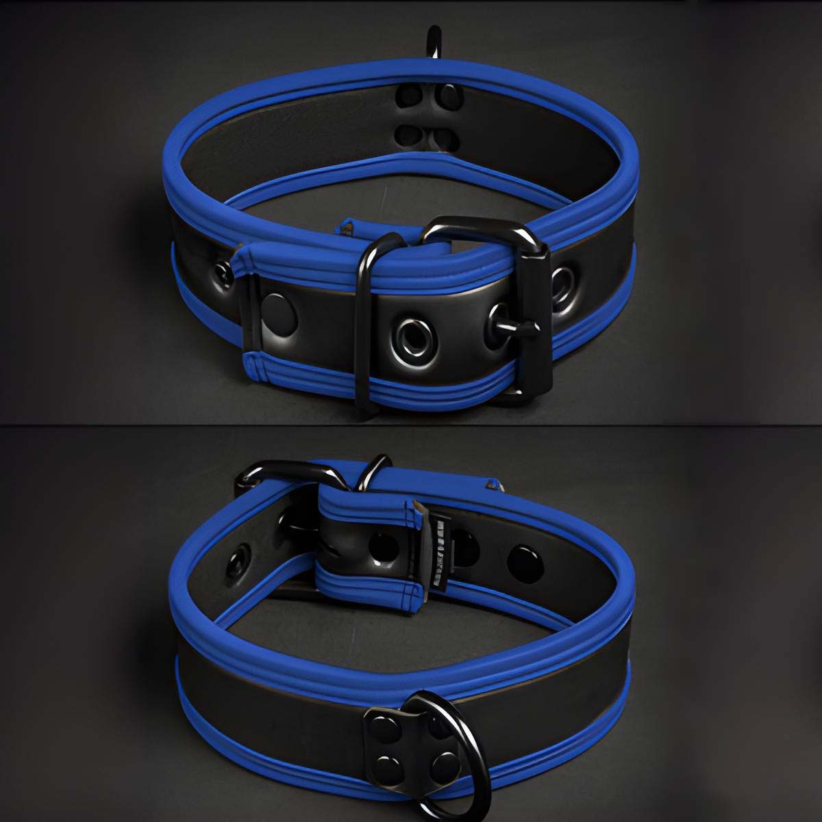 Mr S Leather Neoprene Puppy Collar Black Blue