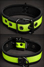 Mr S Leather Neoprene Puppy Collar Lime Black