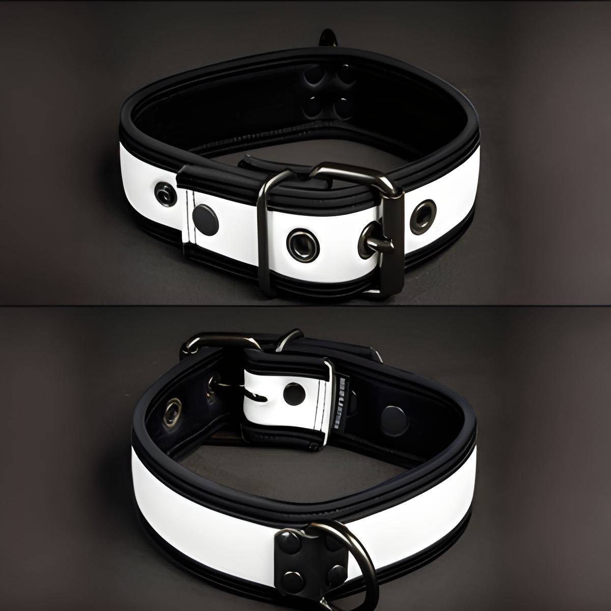 Mr S Leather Neoprene Puppy Collar White Black