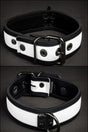 Mr S Leather Neoprene Puppy Collar White Black