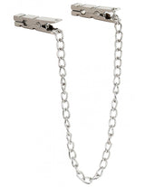 ruff GEAR Stainless Steel Nipple Pegs with Chain