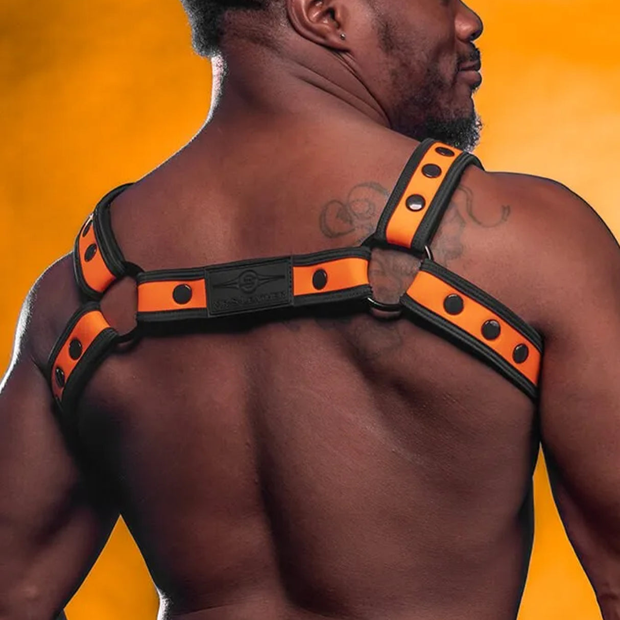 Mr S Leather Neo Bold Colour Bulldog Harness Orange