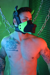 Breedwell Poundtown Pup Mask 2.0 Neon Green