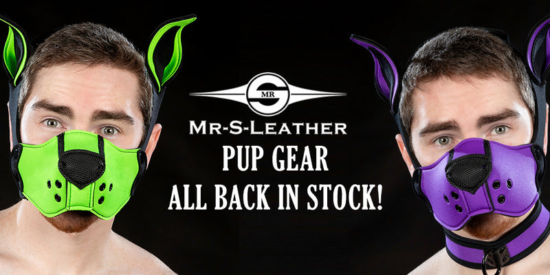 Pup Gear - Back in Stock