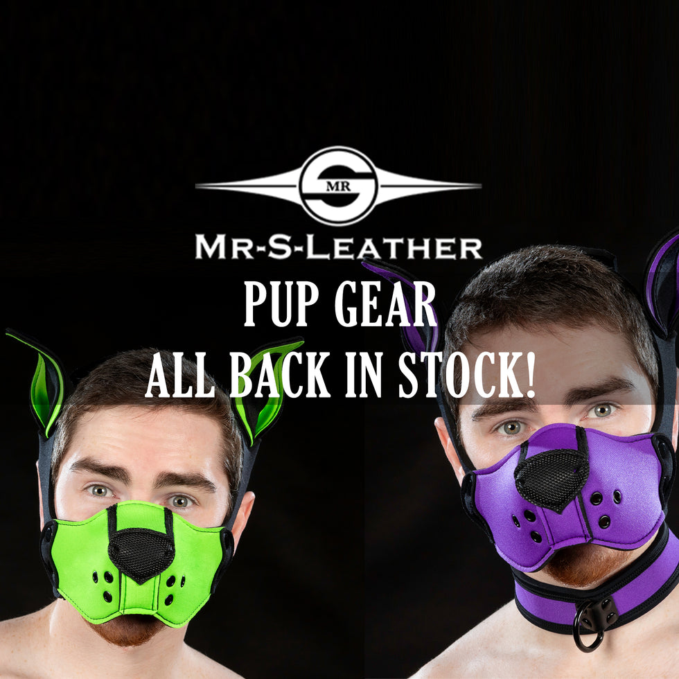 Pup Gear - Back in Stock