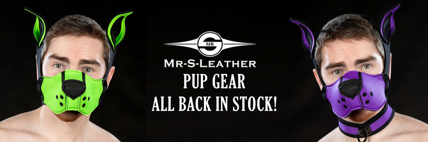 Pup Gear - Back in Stock