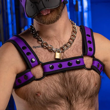 Mr S Leather Neo Bold Colour Bulldog Harness Purple
