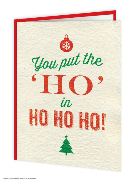 Put The Ho In Ho Ho Ho Christmas Card