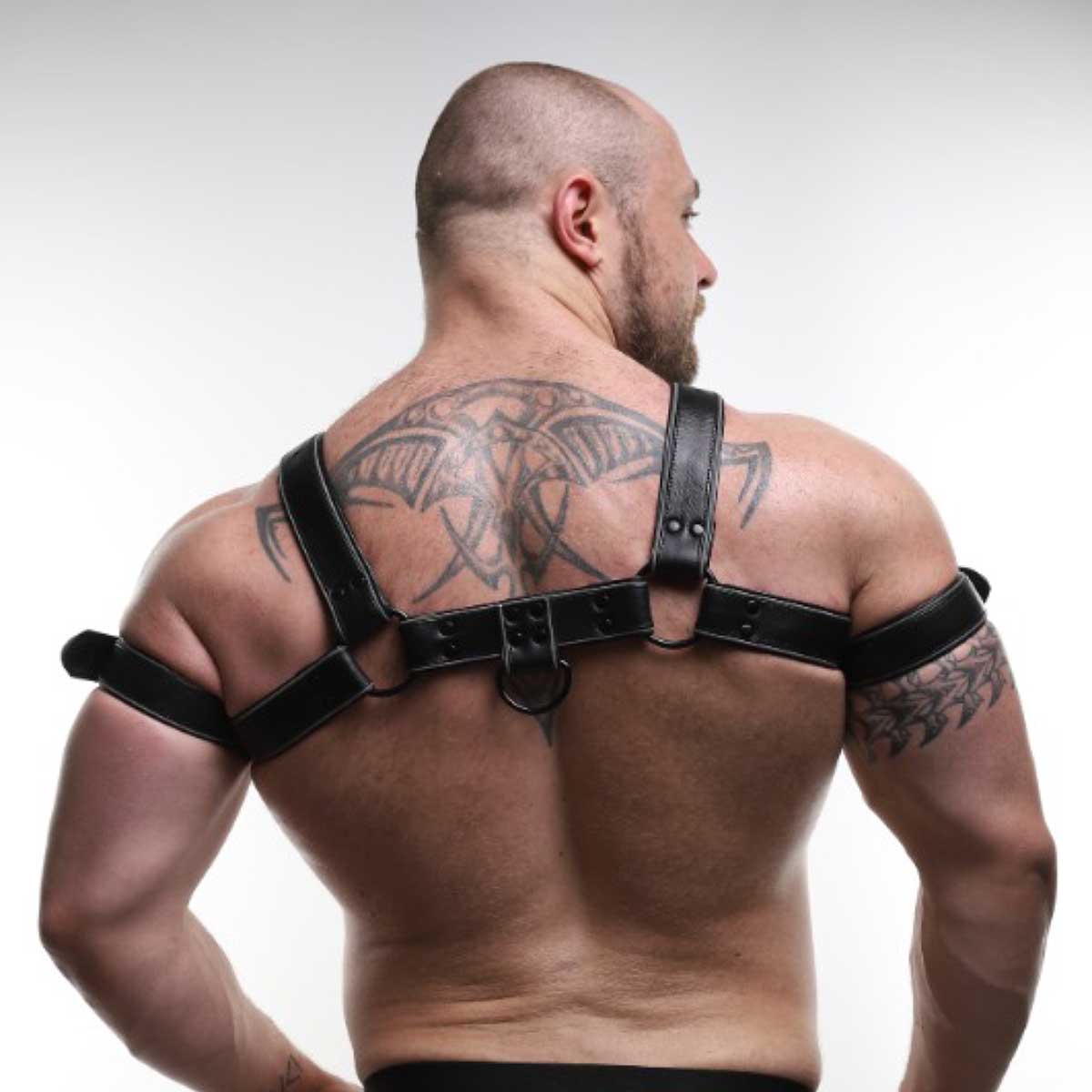 ruff GEAR Leather Bulldog Reflector Harness
