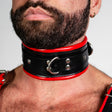 ruff GEAR Leather Padded Neck Collar Red