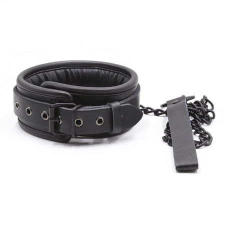 BASIXXX Padded Collar and Leash