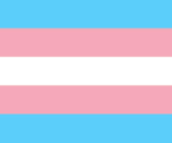 Pride Trans Flag 90x150cm